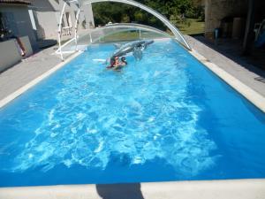 a dolphin and a person in a swimming pool at Au pré du Mignon aux portes du Marais Poitevin in Thorigny