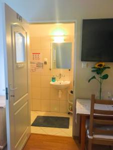 a bathroom with a sink and a shower with a sink at Willa Zdrój in Ciechocinek