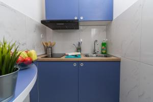 Kuchyň nebo kuchyňský kout v ubytování Studio Apartment Harmony NP Krka