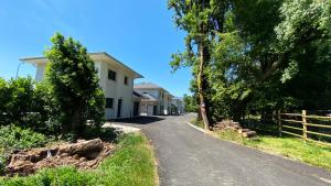 una carretera que conduce a una casa blanca con árboles en Aux Peupliers de Pradian - Nivea, en Bassens