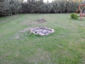 zwierzę leżące w trawie na polu w obiekcie Ranczo Ryn w Rynie