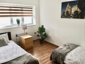 a bedroom with two beds and a potted plant at Flats near football clubs in Liverpool