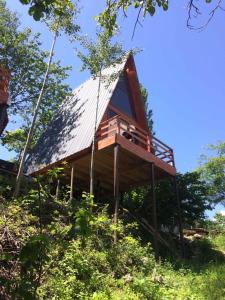 山林小屋所在的建築