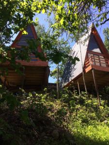 山林小屋所在的建築