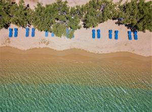 widok na plażę z drzewami i niebieskimi parasolami w obiekcie Alexandros by the Beach - Serifos w mieście Livadakia
