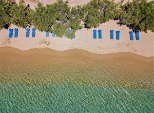 an overhead view of a beach with trees and blue umbrellas at Alexandros by the Beach - Serifos in Livadakia