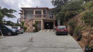 a dog standing in front of a house at Guesthouse Zografia in Vrasná