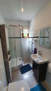 a bathroom with a shower and a sink and a toilet at Domek na Szumach in Susiec +18 photos