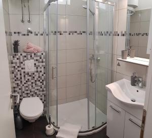 a bathroom with a shower and a toilet and a sink at Apartments Ružica in Zaostrog +37 photos