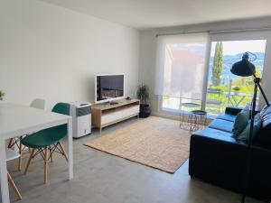 TV a/nebo společenská místnost v ubytování LM house