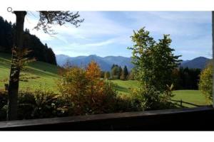 - une vue sur un champ verdoyant avec des arbres et des montagnes dans l'établissement Bucherhof, à Fischbachau