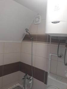 eine Dusche im Bad mit WC in der Unterkunft Durmitorski konak in Žabljak