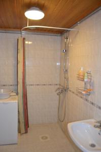 y baño con ducha y lavamanos. en Castillo Hirvas 7, en Saariselkä