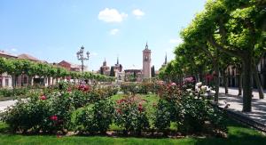 Jardín al aire libre en Casa de Huéspedes Vecinodecerbantes