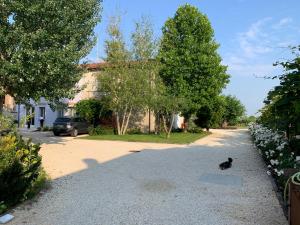 Okolí bed and breakfast