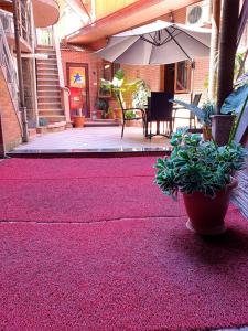 a patio with a pink carpet and an umbrella at Hotel Old Star in Batumi