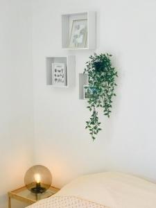 a bedroom with a plant on the wall at La Maison d AME - for the perfect stay at the Mont Ventoux in Malaucène