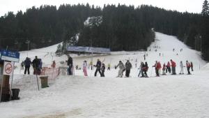 Flora Ski-slope Studio Apartment vendégei