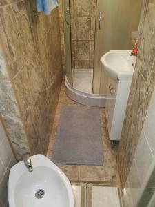 ein Bad mit einem WC, einem Waschbecken und einer Dusche in der Unterkunft Apartmani Capi in Golubac