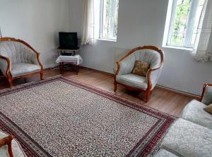 a living room with two chairs and a rug at Acan Apart günlük kiralık ev daire Ürgüp in Mustafakemalpaşa