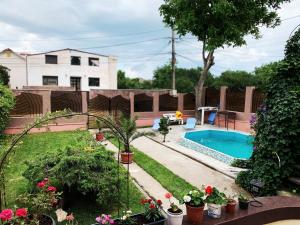 a backyard with a swimming pool and some plants at Villa Bogdan in Agigea