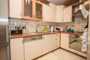 Kuchyňa alebo kuchynka v ubytovaní Apartment Rosse
