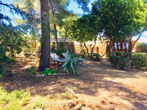 Gallery image of Gaou Benat, village des fourches, Label patrimoine XXe siècle in Bormes-les-Mimosas +41 photos