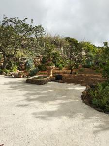un aparcamiento de hormigón con árboles y arbustos en Casa Anita, en Tajace de Abajo