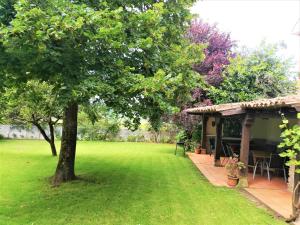 a yard with a tree and a house at Vivienda Vacacional El Robledo in Colombres