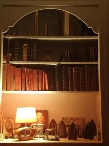 une étagère remplie de livres et d'une lampe dans l'établissement Les Eléphants bleus, à Onzain