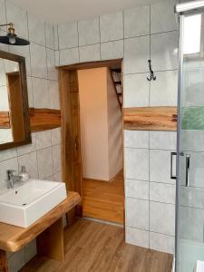 a bathroom with a sink and a shower at Apartma Pr'Toman in Kamna Gorica +12 photos