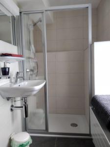 a bathroom with a shower and a sink at Hôtel Pension du Lac Bleu in La Gouille