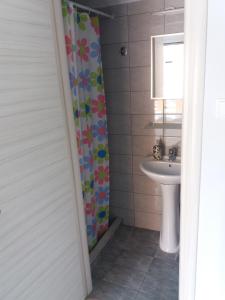 Kúpeľňa v ubytovaní Roses Studios