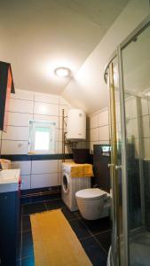 a bathroom with a toilet and a washing machine at Neretva River Guesthouse in Konjic