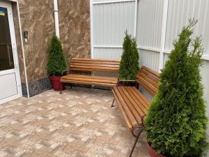 two wooden benches and two potted trees on a patio at Міні-готель "Кімната Комфорт" in Odesa