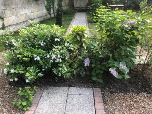 un jardín con flores moradas y blancas y una acera en A la Fleur de Lys, en Langeais