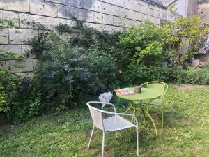 une table et des chaises dans une cour avec un chat assis sur elle dans l'établissement A la Fleur de Lys, à Langeais