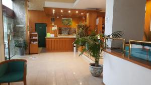 a lobby with a potted plant in a store at Hotel Cristallo in Udine