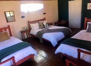 two beds in a room with green walls at Old Transvaal Inn Accommodation in Dullstroom