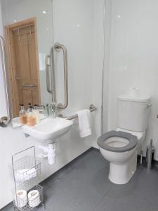 a white bathroom with a toilet and a sink at Penbont House in Rhayader