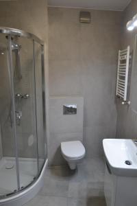 a bathroom with a shower and a toilet and a sink at Leszno City Center Apartments in Leszno