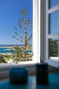 Táj Show holiday homes közelében
