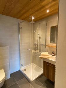 a bathroom with a shower and a toilet and a sink at Appartements Birkenhof in Lech am Arlberg