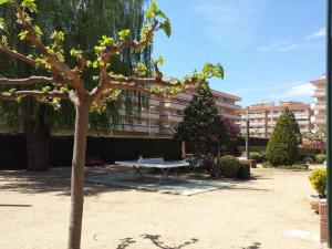 Κήπος έξω από το BRAVAHOLIDAYS-271-Zeus