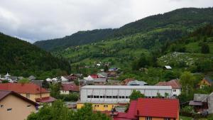 une ville dans une vallée avec des montagnes en arrière-plan dans l'établissement Pensiunea Jianu, à Albac