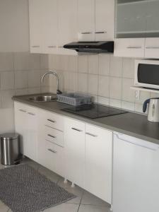 Kuchyň nebo kuchyňský kout v ubytování Apartments Suri