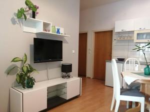 TV a/nebo společenská místnost v ubytování Apartments Suri
