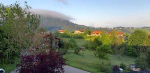 uma vista para uma aldeia com casas e árvores em Ferienwohnung Alpenveilchen im Oberallgäu em Missen-Wilhams