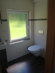 bagno con servizi igienici e finestra. di Ferienwohnung am Aschberg a Klingenthal