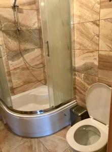 a bathroom with a toilet and a shower at Serce Beskidu Niskiego in Świątkowa Mała